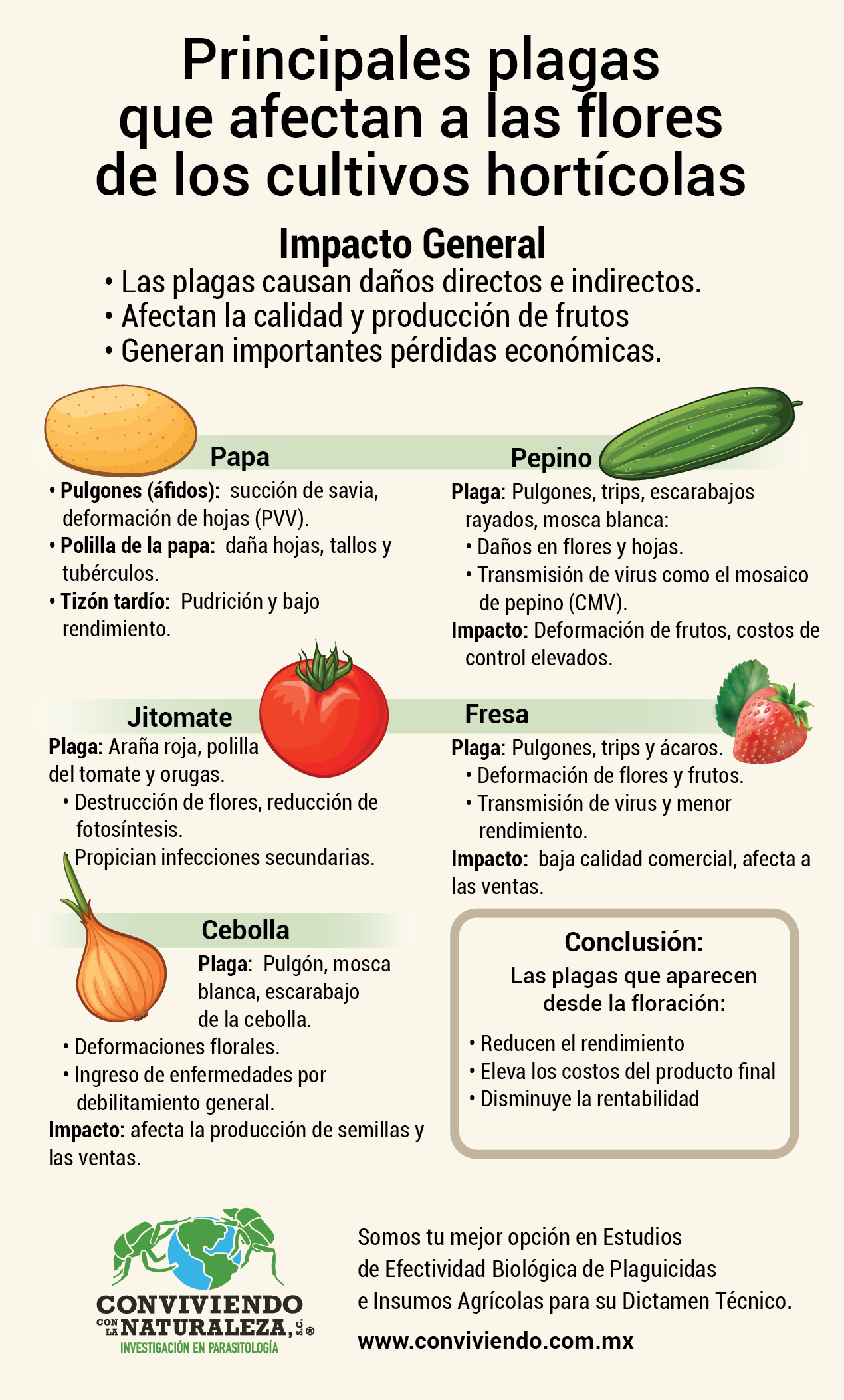 infografía daño de flores en cultivos hortícolas